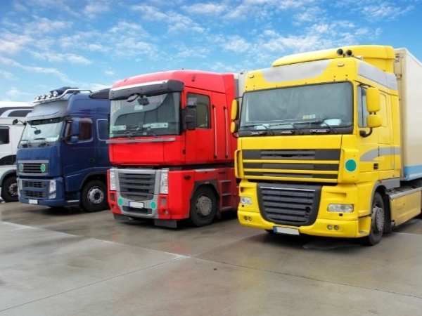 İzmir Fıstıkağacı Nakliye